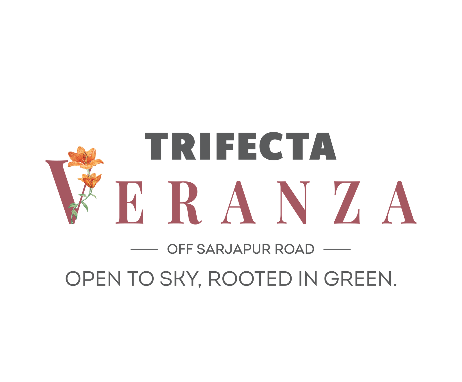 Veranza Logo